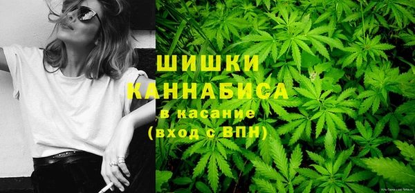 apvp Надым