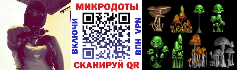мега рабочий сайт  купить наркотик  Чекалин  Галлюциногенные грибы Cubensis 