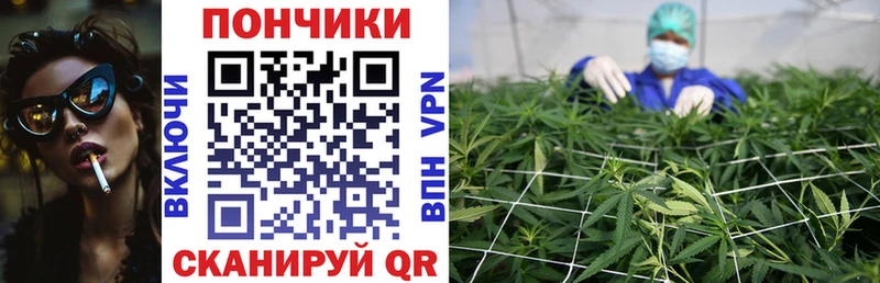 Конопля THC 21%  где продают   Чекалин 